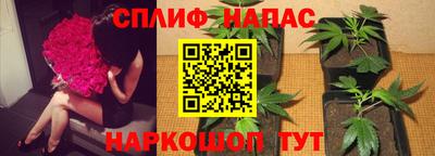ECSTASY Нарткала