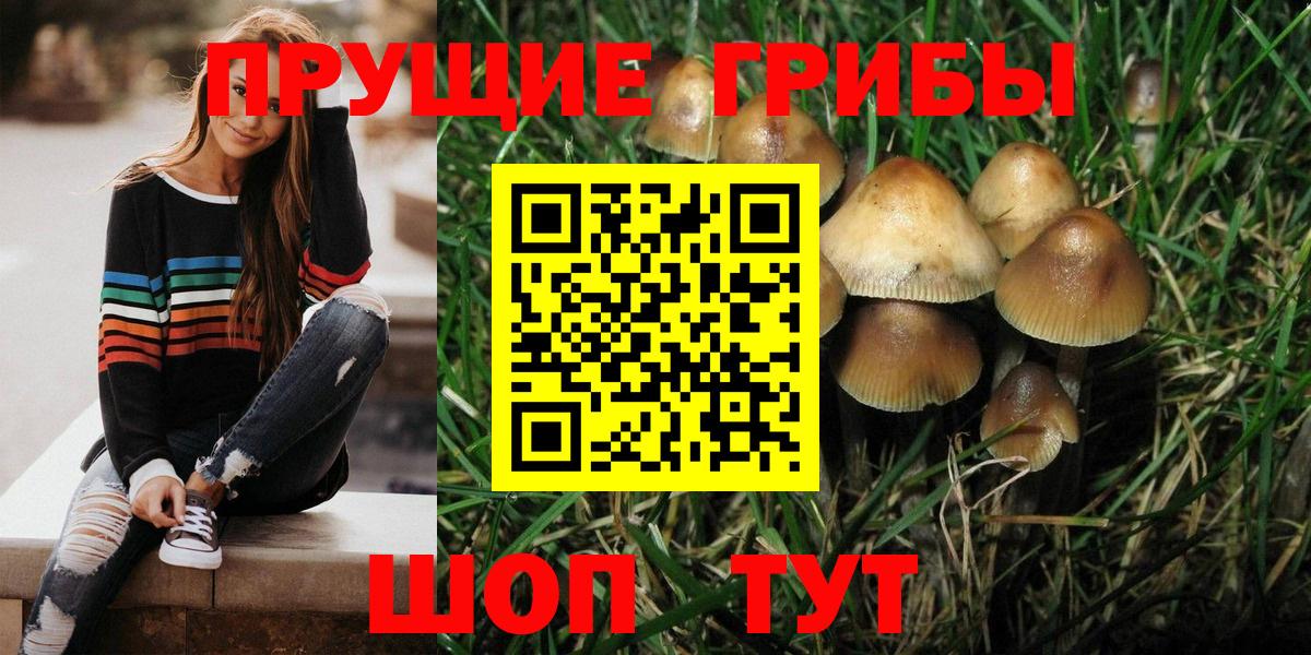Псилоцибиновые грибы MAGIC MUSHROOMS Саратов