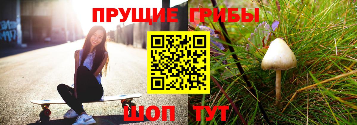 Галлюциногенные грибы Magic Shrooms  Вход с VPN  магазин  наркотиков  Саратов  Псилоцибиновые грибы Psilocybine cubensis 